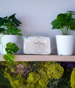 Christmas Spice Soap