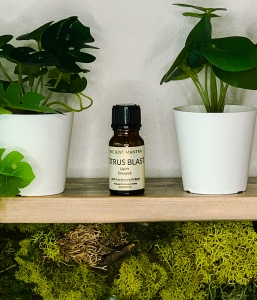 Citrus Blast Essential Oil Blend