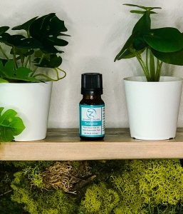 Eucalyptus Essential Oil