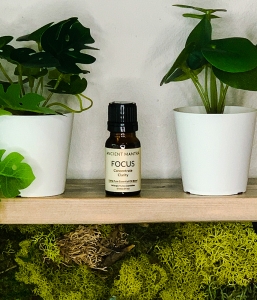 Focus Essential Oil Blend
