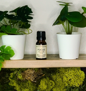Focus Essential Oil Blend