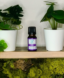 Lavender Essential Oil